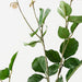 Rose Leaf Spray 106cm Green - Pack of 12