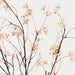 Mini Wild Flower Spray 130cm Coffee - Pack of 24