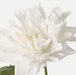 Dahlia White 60cm Pack of 12