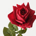 Rose Bettina Red 68cm Pack of 12