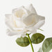 Rose Bettina Winter White 68cm Pack of 12