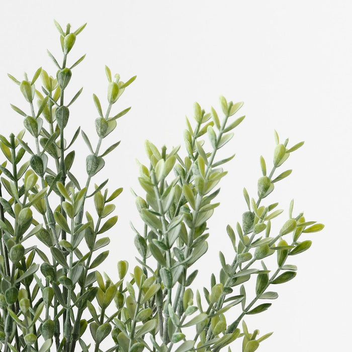 Myrtle Leaf Bush Grey Green 53cm Pack of 12