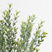 Myrtle Leaf Bush Grey Green 53cm Pack of 12