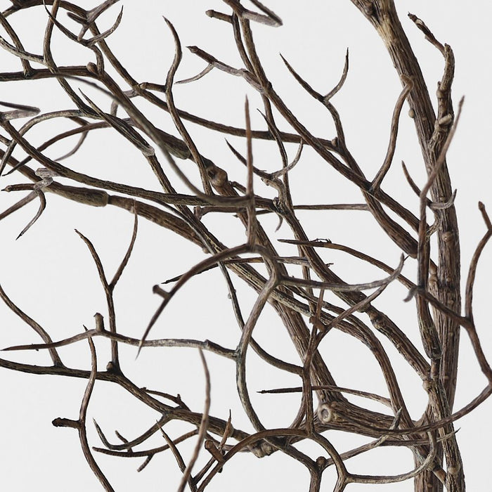 Twig Curly Spray Brown 83cm Pack of 12