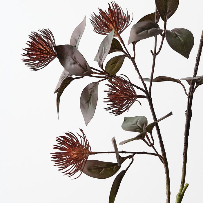 Protea Leucospermum Spray Burgundy 101cm Pack of 12