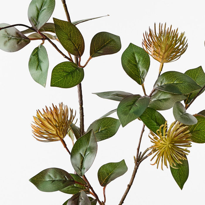 Protea Leucospermum Spray Rust 101cm Pack of 12
