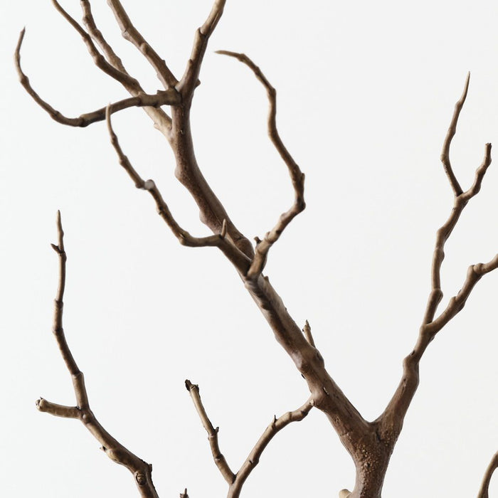 Twig Coral Branch Brown 66cm Pack of 12