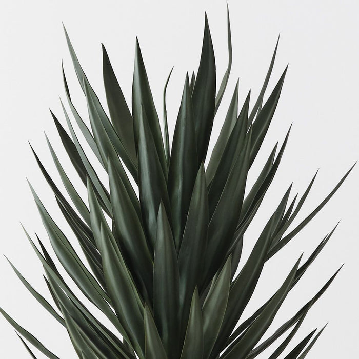 Yucca Plant Green 153cm