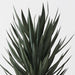 Yucca Plant Green 153cm