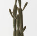 Cactus Column Plant Green Cream 152cm