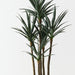 Yucca Plant Green 183cm