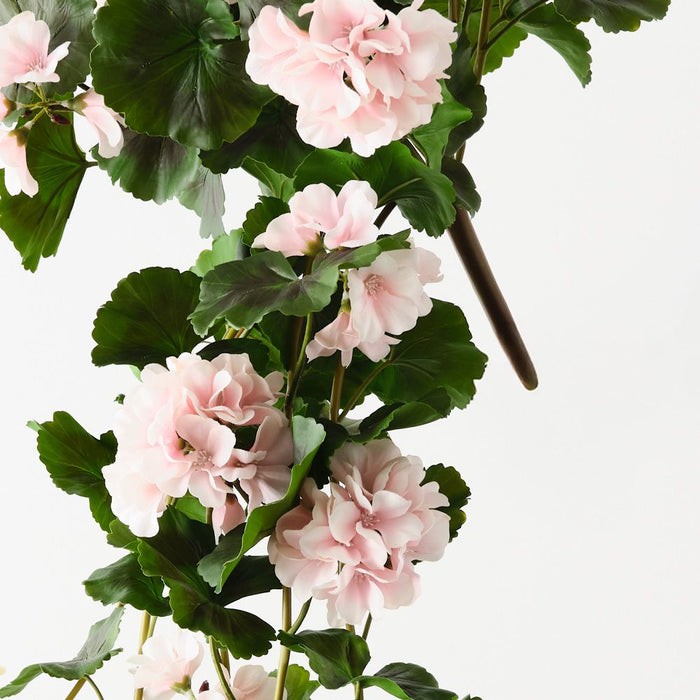 Artificial Geranium Hanging Bush 92cm Light Pink - Pack of 6 - FLORA DESIGNS