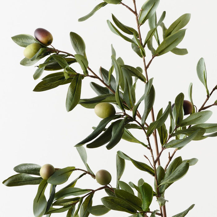 Olive Leaf Spray 96cm Green Burgundy - Pack of 12