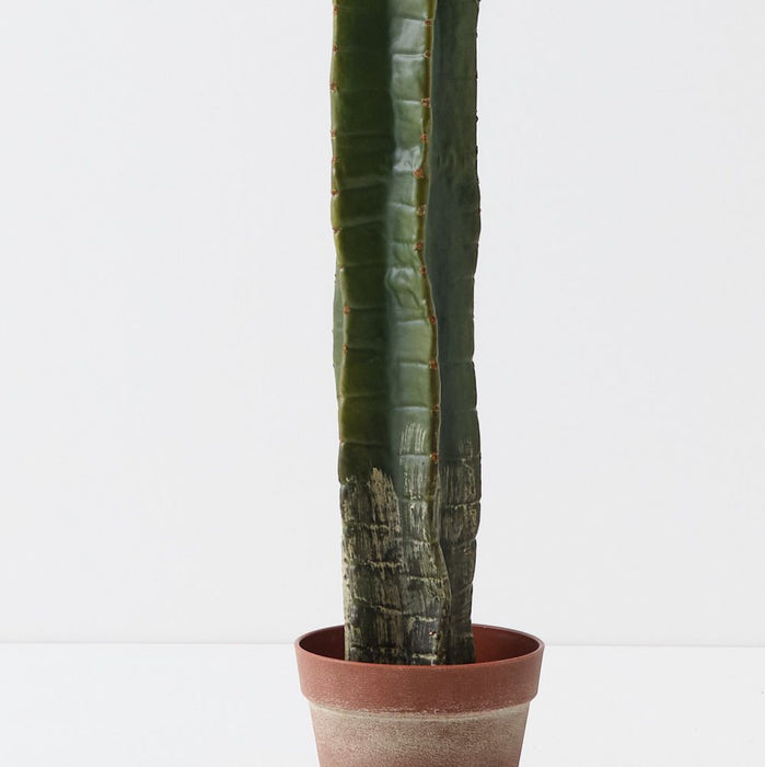 Cactus Column Plant Light Green 138cm
