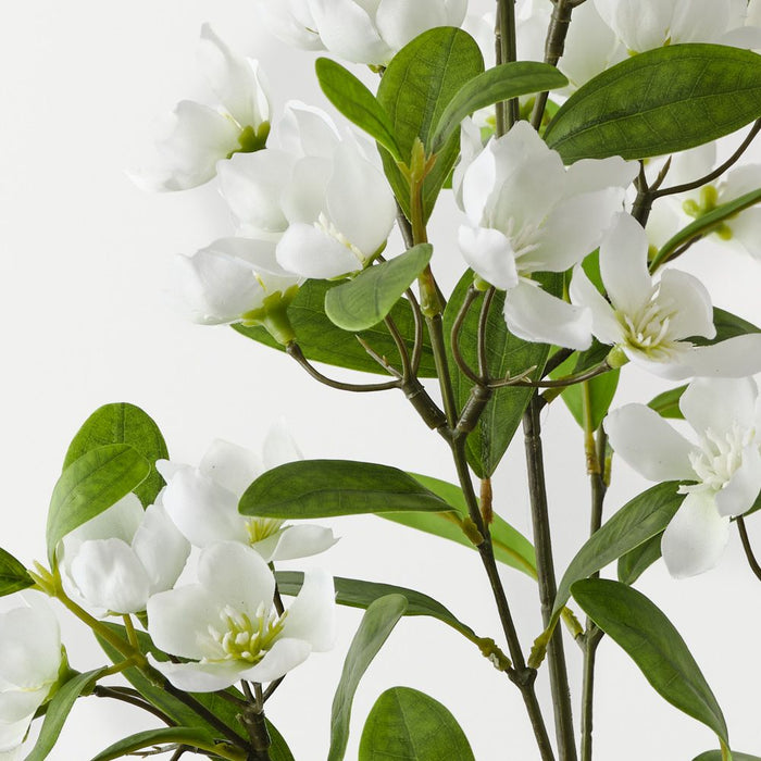 Blossom Peach White 71cm Pack of 12
