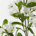 Blossom Peach White 71cm Pack of 12