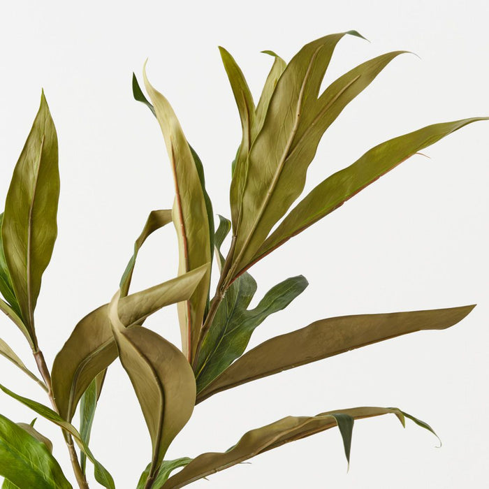 Grevillea Leaf Spray 122cm Green - Pack of 6