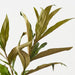 Grevillea Leaf Spray 122cm Green - Pack of 6