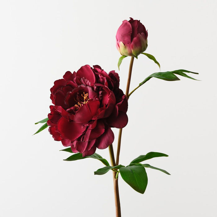 Artificial Peony Spray 62cm Burgundy - FLORA DESIGNS