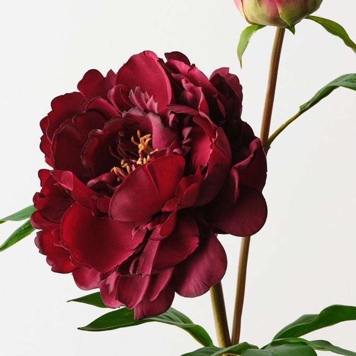 Artificial Peony Spray 62cm Burgundy - FLORA DESIGNS