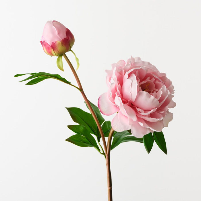 Artificial Peony Spray 62cm Pink - Pack of 12 - FLORA DESIGNS