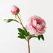 Artificial Peony Spray 62cm Pink - Pack of 12 - FLORA DESIGNS