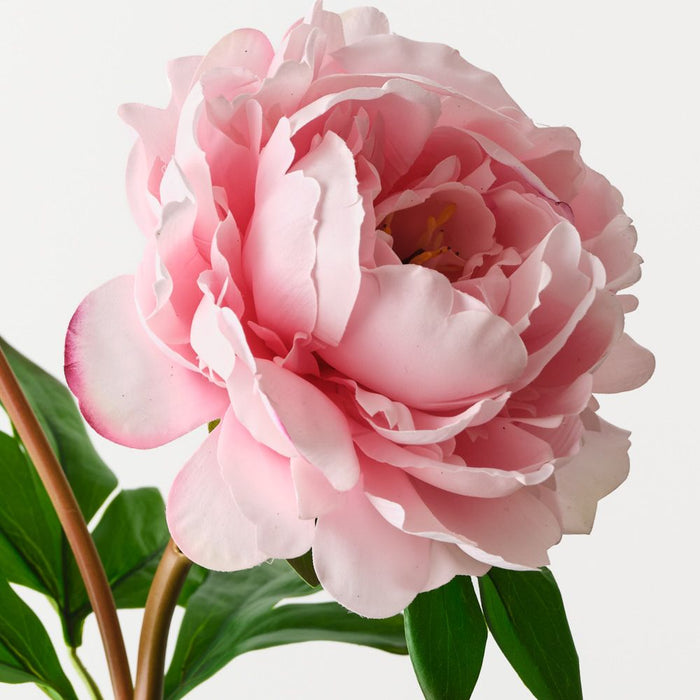 Artificial Peony Spray 62cm Pink - Pack of 12 - FLORA DESIGNS