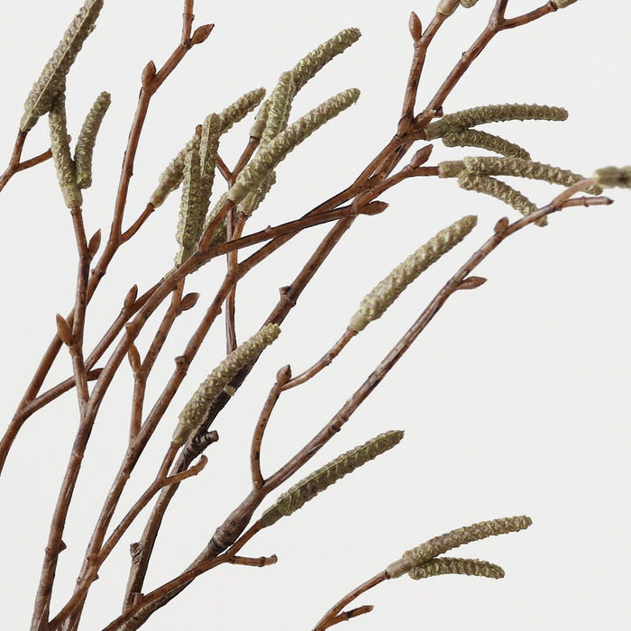 Birch Berry Bundle Natural 56cm Pack of 12