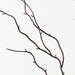 Twig Curly Spray Brown 92cm Pack of 24