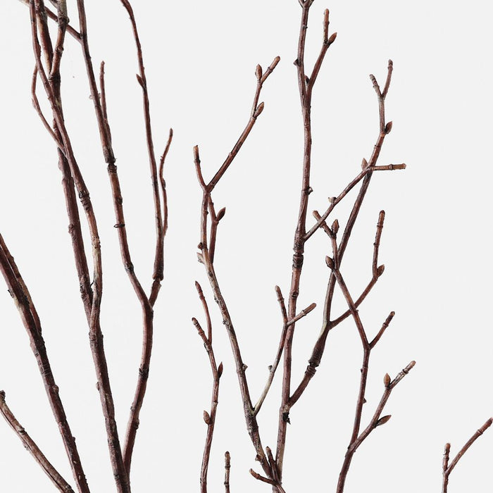 Twig Cottonwood Spray Brown Wash 99cm Pack of 12