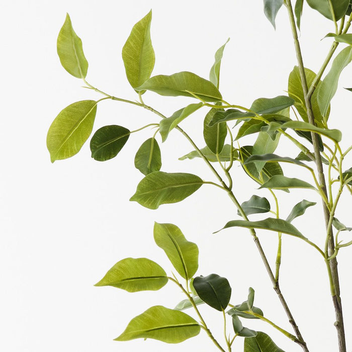 Ficus Leaf Spray Green 120cm Pack of 12