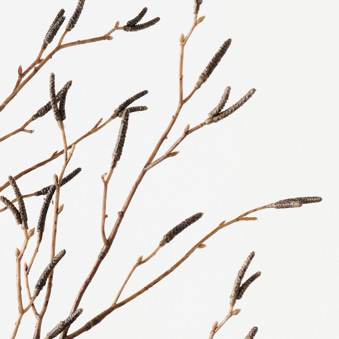 Birch Berry Spray Brown 100cm Pack of 12