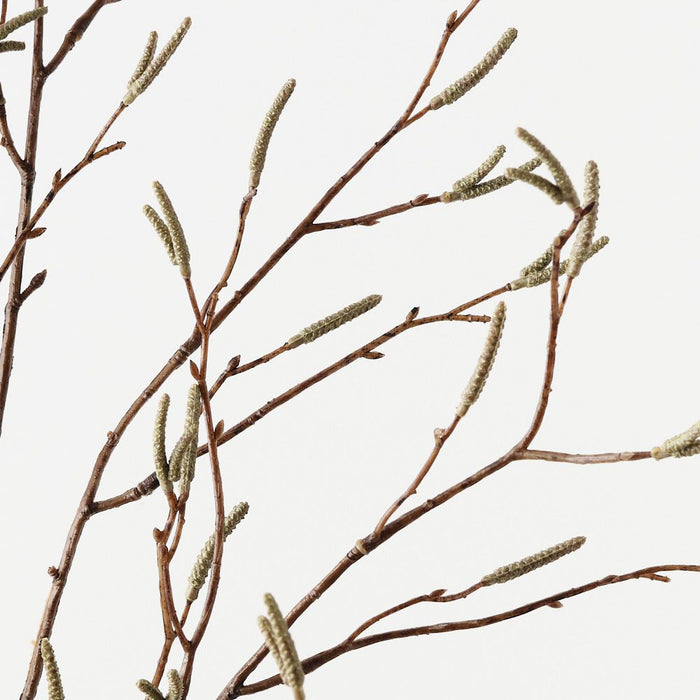 Birch Berry Spray Natural 100cm Pack of 12