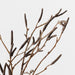 Birch Berry Bundle Brown 56cm Pack of 12