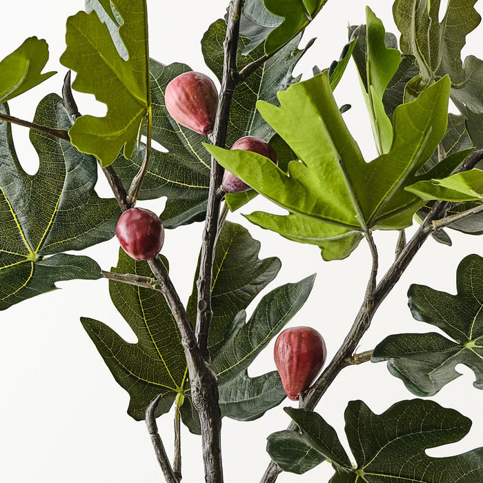 Fig Leaf Spray Green 130cm Pack of 2