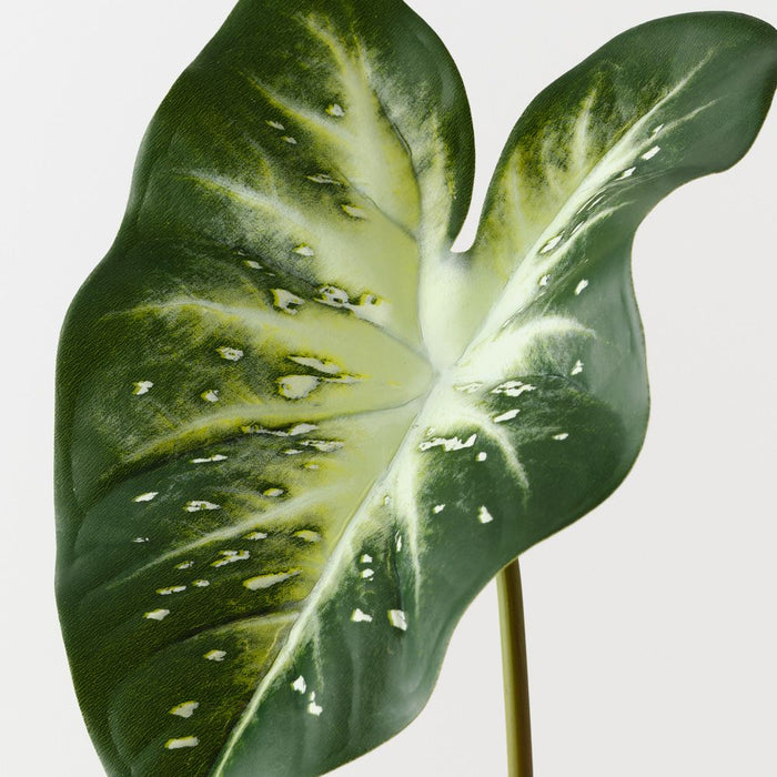 Calla Lily Leaf Dark Green White 53cm Pack of 12