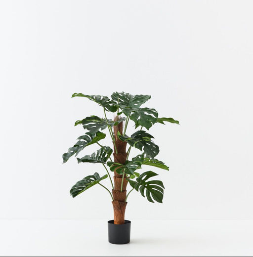 Artificial Monstera Plant On Pole 90cm - FLORA DESIGNS