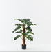 Artificial Monstera Plant On Pole 90cm - FLORA DESIGNS