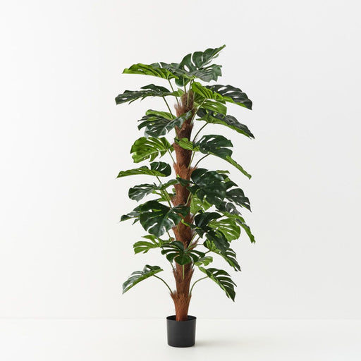 Artificial Monstera Plant On Pole 150cm - FLORA DESIGNS