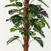 Artificial Monstera Plant On Pole 150cm - FLORA DESIGNS
