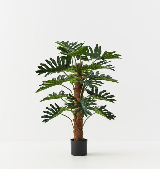 Artificial Philodendron Selloum Plant On Pole 90cm - FLORA DESIGNS