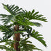 Artificial Philodendron Selloum Plant On Pole 150cm - FLORA DESIGNS