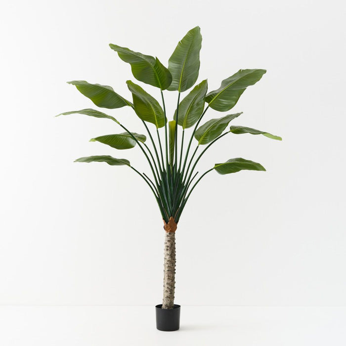 Palm Traveller 210cm Green