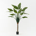 Palm Traveller 210cm Green