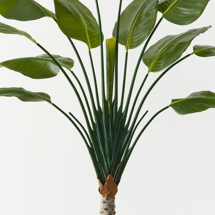 Palm Traveller 210cm Green
