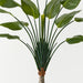 Palm Traveller 210cm Green