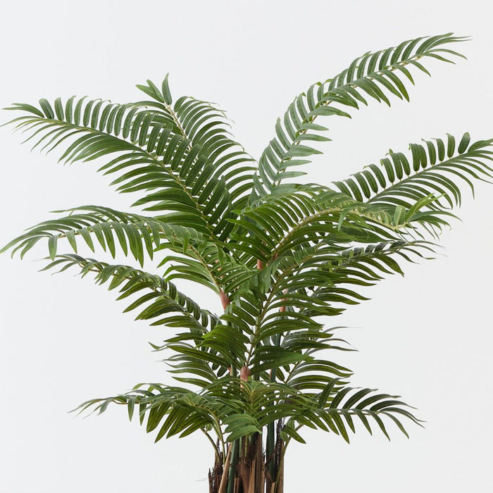 Palm Areca Green 90cm Pack of 2