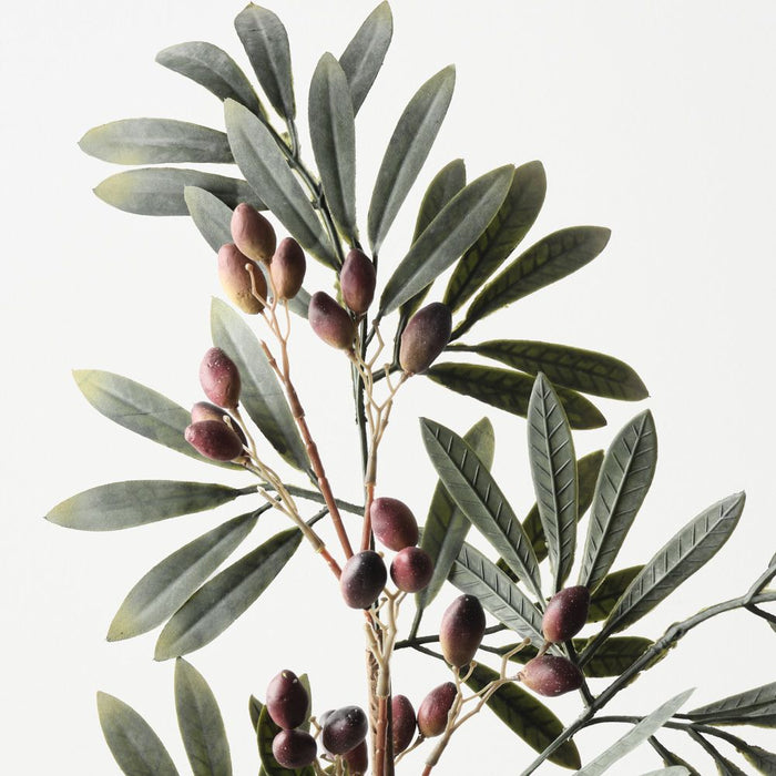 Artificial Olive Leaf Spray 77cm Burgundy Green - Pack of 12 - FLORA DESIGNS