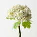 Artificial Hydrangea Bundle 26cm White Green - Pack of 6 - FLORA DESIGNS