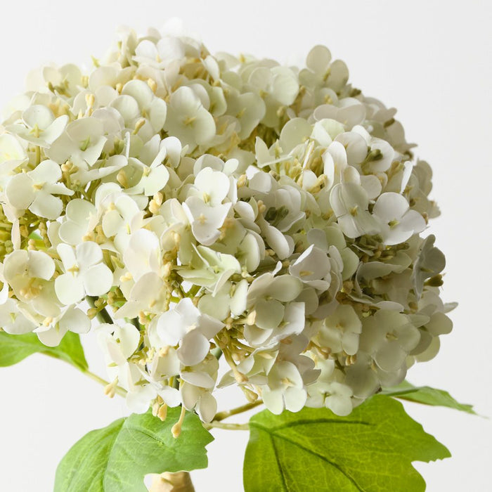 Artificial Hydrangea Bundle 26cm White Green - Pack of 6 - FLORA DESIGNS